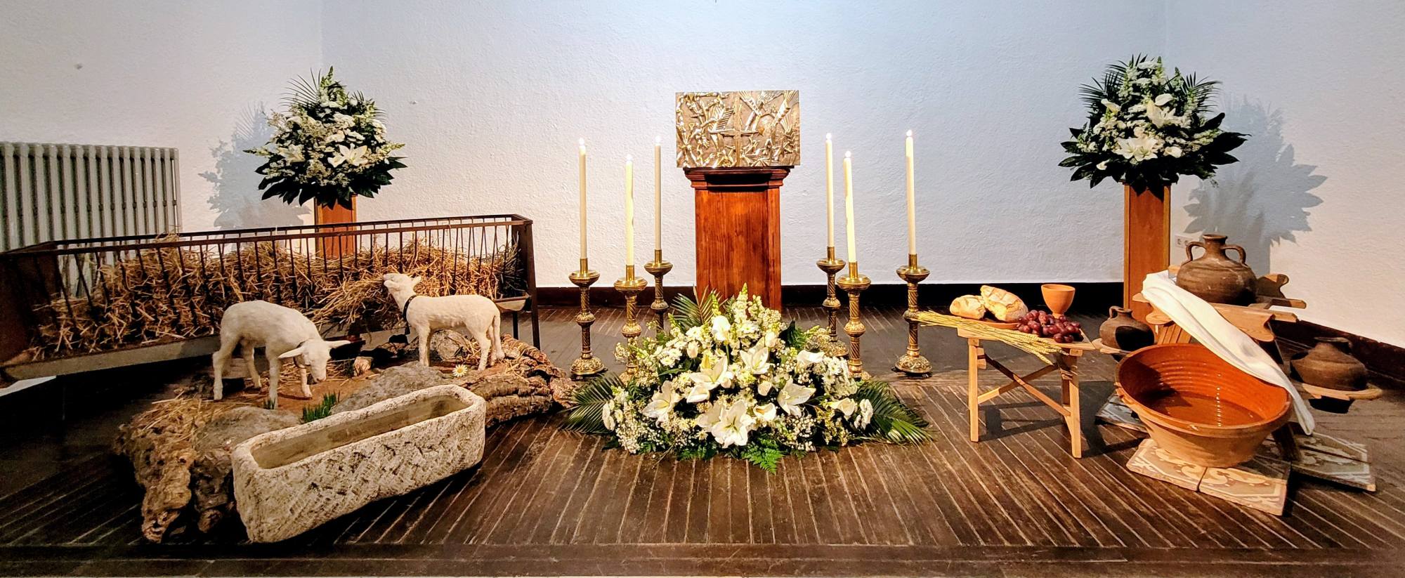 661711987 1243040181328988 3202438600276597395 n